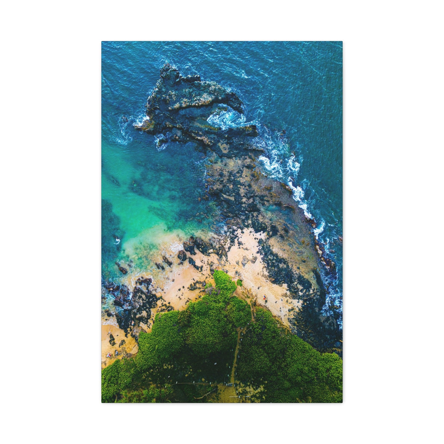 Maui Beach Canvas