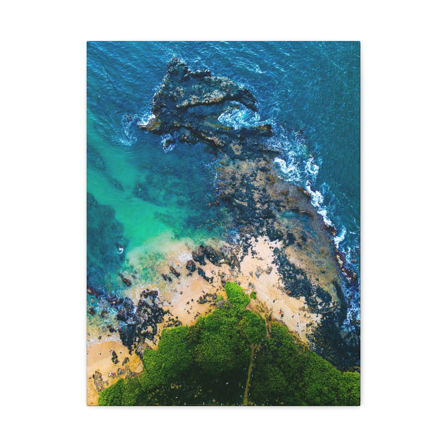 Maui Beach Canvas